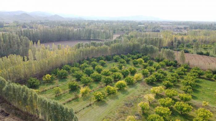 İrem Bağları’nda Sonbahar Güzelliği