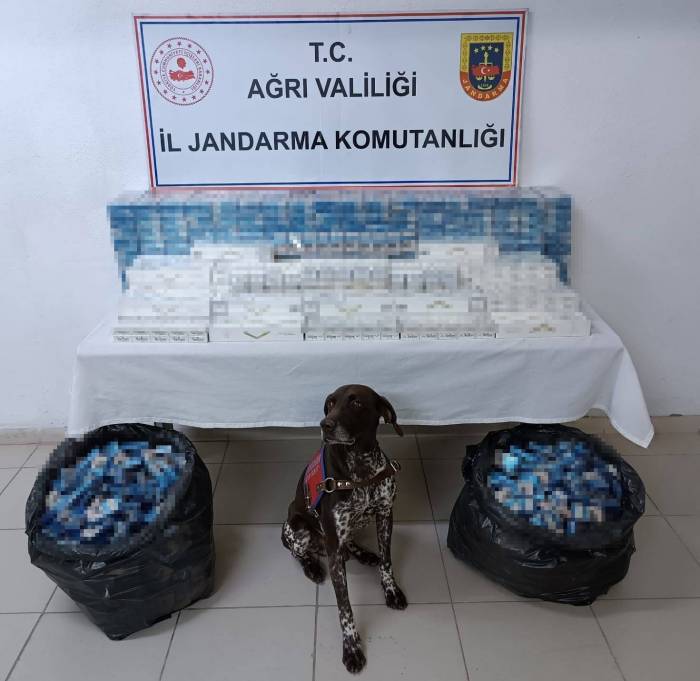 Ağrı’da 3 Tırda Kaçak Akaryakıt Ve Sigara Ele Geçirildi