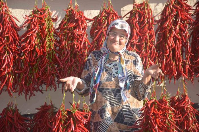 155 Yıldır Aynı Tohumdan Acı Kırmızıbiber Üretiyorlar