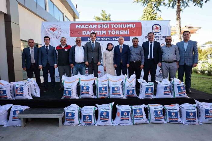 Denizli’de 1460 Üreticiye 146 Ton Macar Fiği Tohumu Dağıtılıyor
