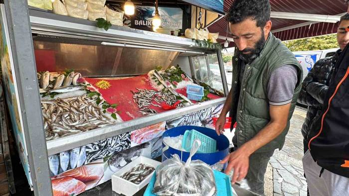 Tezgahlarda Hamsi Bolluğu