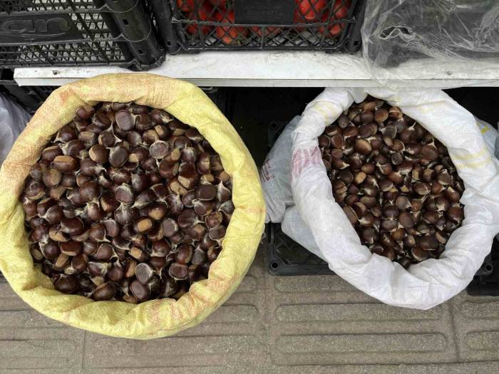 Sinop Kestanesi Cep Yakıyor: Kilosu 300 Lira