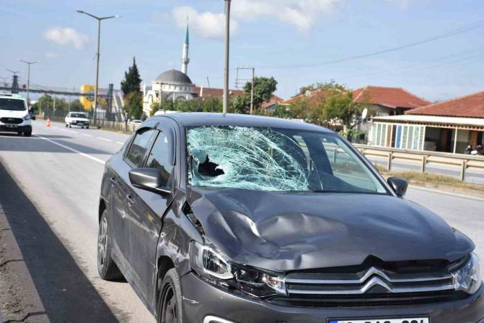 D-100’de Otomobilin Çarptığı Yaya Hayatını Kaybetti