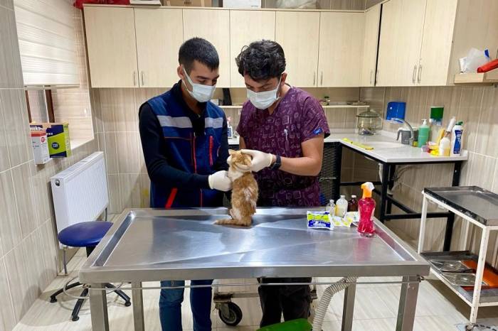 Sincan’da Sokak Hayvanları İçin 78 Besleme Noktası