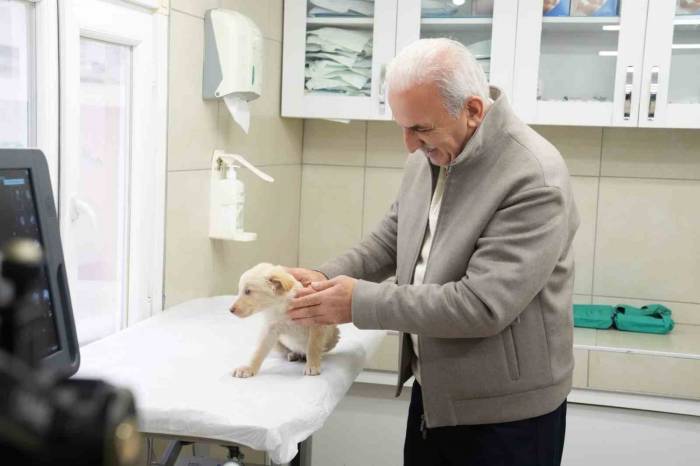 Ümraniye Belediyesi Hayvan Sağlık Hizmeti’nde İstanbul’da Bir İlki Gerçekleştirdi