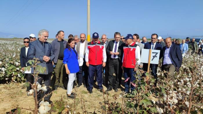 Nazilli Pamuk Enstitüsü’nün Yerli Ve Milli Pamuk Çeşitleri Söke Ovası’nda Tanıtıldı