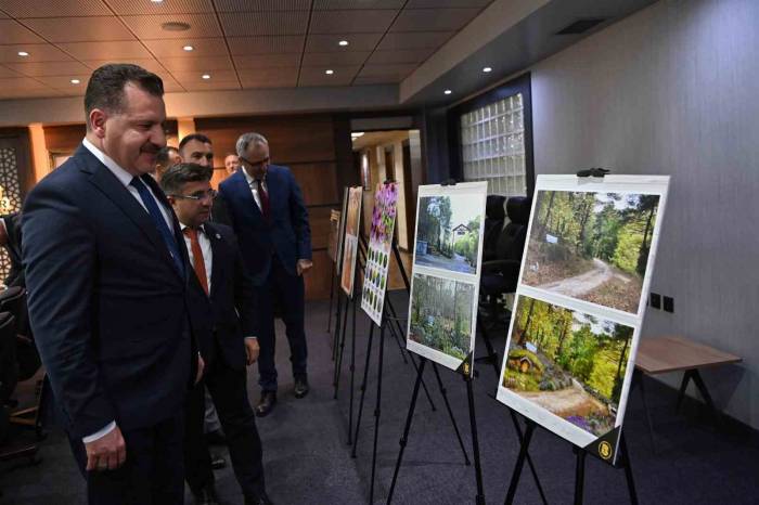 Türkiye’nin En Büyük Bal Ormanı Kazdağları’nda Olacak