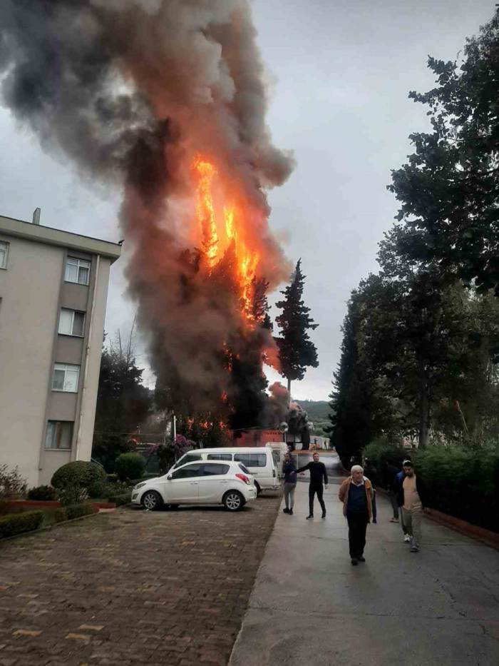 Maç Dönüşü Ölümden Döndüler