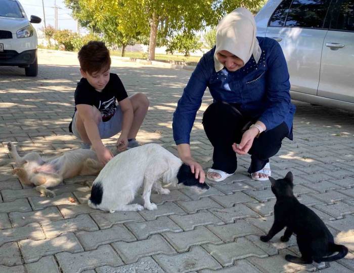 Kendi Küçük Sevgisi Büyük