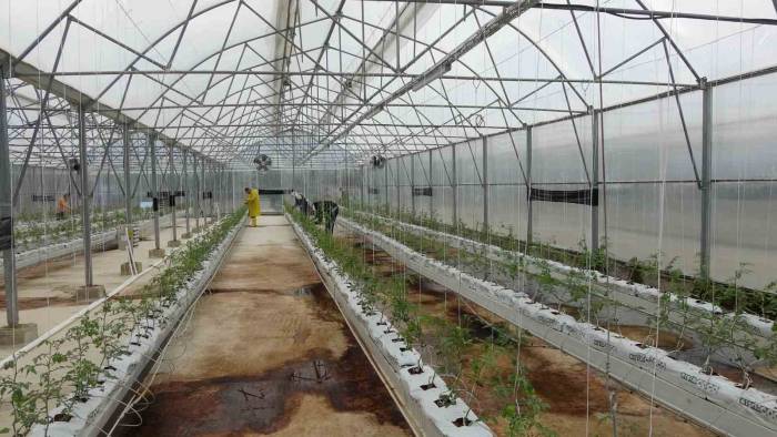 Engelli Bireyler ‘En Mutlu Köy’de Hayallerini Gerçekleştirecek