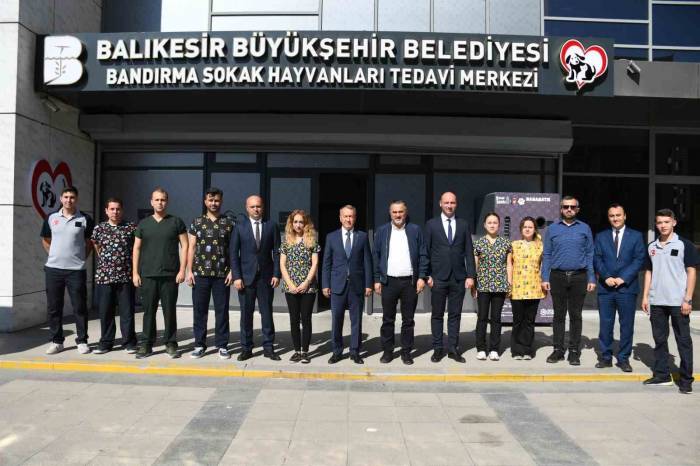 Bandırma’da Yüzlerce Sokak Hayvanına Şifa Oldu