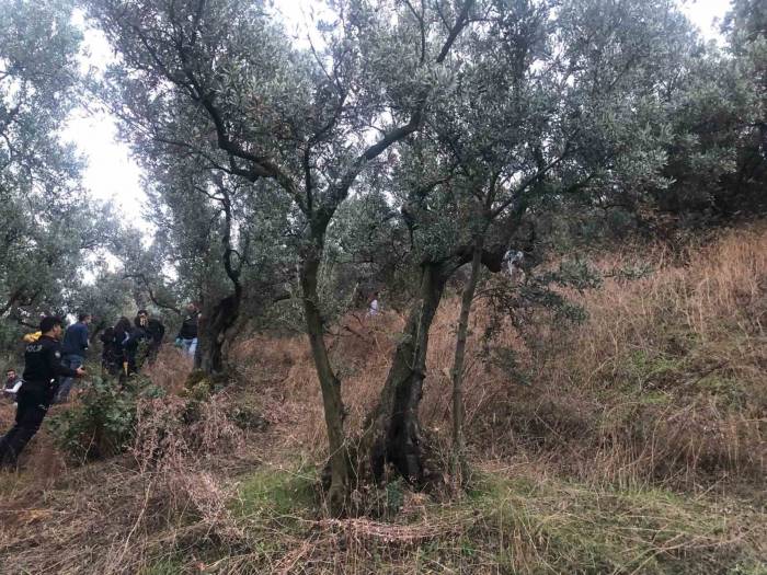 Zeytin Ağacına Asılı Bulunan Kadın Çocuklarını Sevgilisine Emanet Etmiş