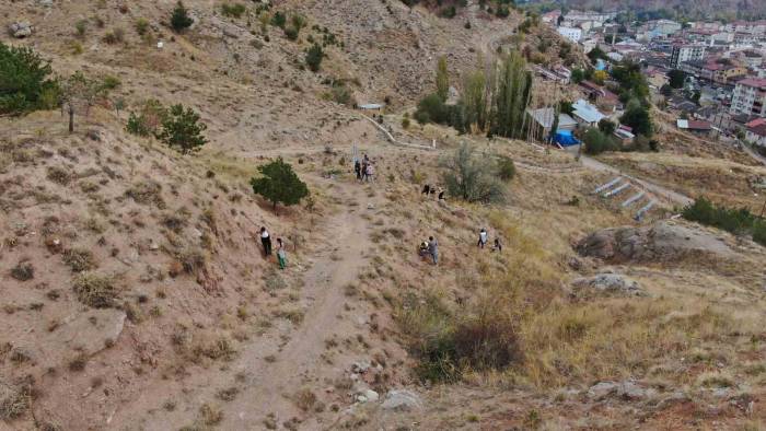 Dünyanın Dört Bir Tarafından Gelip 100. Yılda 100 Bin Fidan Diktiler