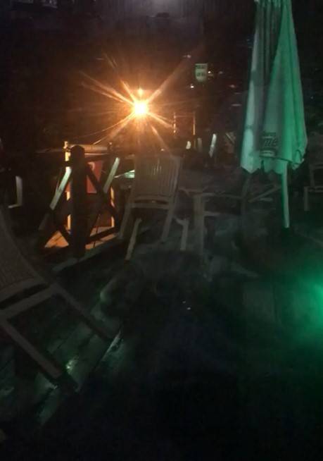 Aç Kalan Tilki Kafenin Bahçesinde Yiyecek Aradı