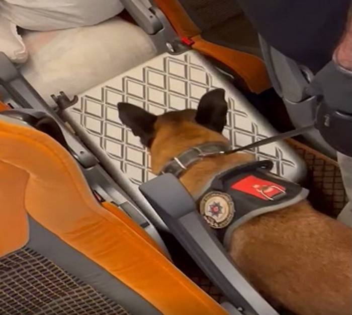 Yolcu Otobüsünde 12 Kilo 700 Gram Uyuşturucu Ele Geçirildi
