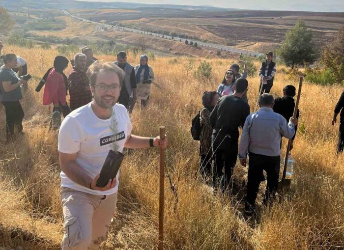 Alzheimer Hastalığına Dikkat Çekmek İçin Fidan Dikildi