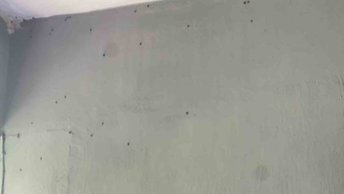 Köyü Uğur Böcekleri Bastı, Vatandaş Ne Yapacağını Şaşırdı