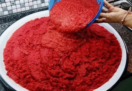 Kış Hazırlığı Yapan Kadınların Salça Mesaisi Başladı