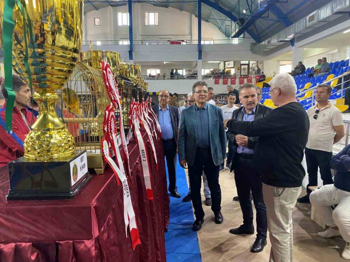 Edremit’te ‘7. Yorkshire Kanarya Şov Yarışması’ Heyecanı