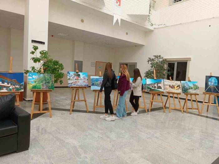 Bilecik İl Kültür Ve Turizm Müdürlüğü’nün Resim Ve Fotoğraf Sergisi Beklenen İlgiyi Görmedi