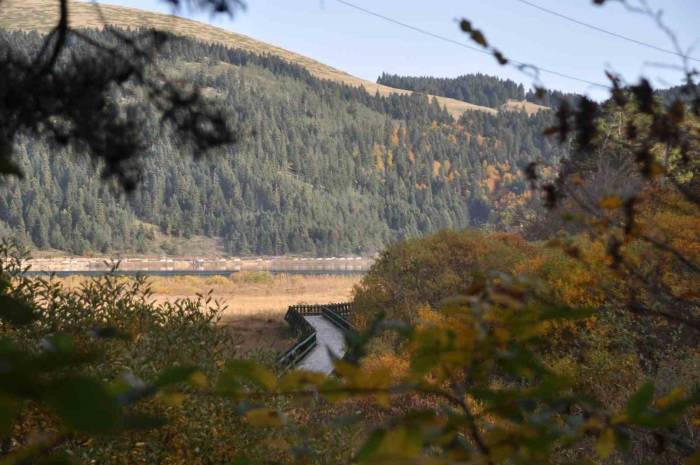 Abant’ta Hazan Mevsimi Güzelliği