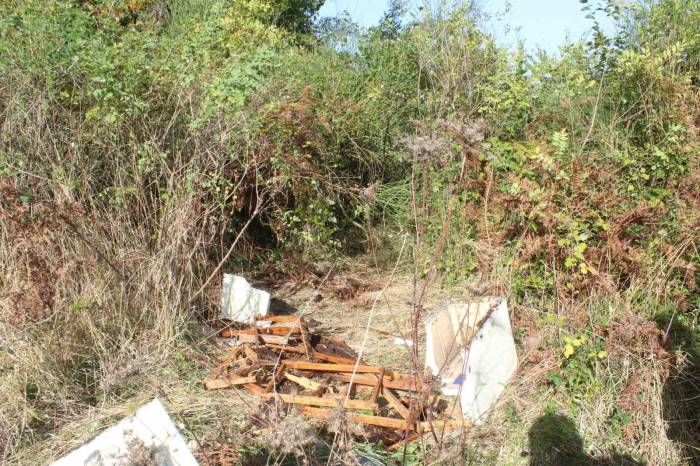 Şehir Merkezine İnen Ayı Bir Araya Topladığı Kovanlardaki Balı Yedi