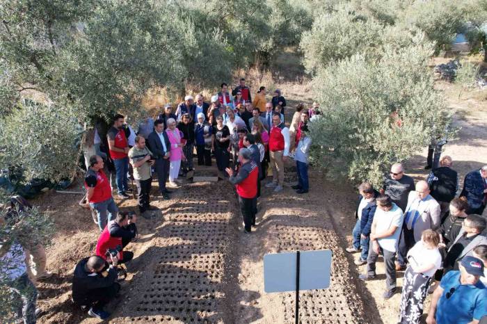 Genç Çiftçiler, Salep Üretimini Sevdi