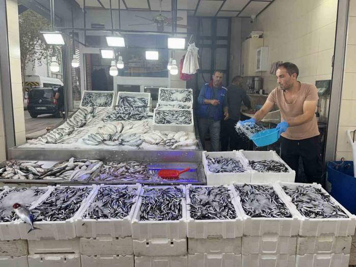 Sinop Hamsisi 40 Liraya Düştü