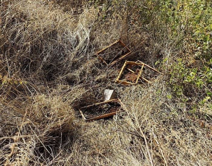 Kastamonu’da Bağ Evine Gelen Ayılar, 10 Adet Arı Kovanını Parçalayarak Balları Yedi