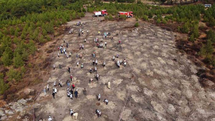 Kazdağları’na 300 Bin Fidan...