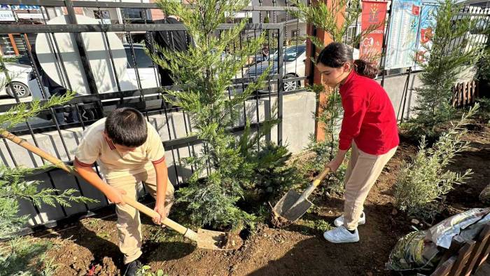 Düzceli 100 Şehit İçin 100 Fidan Dikildi