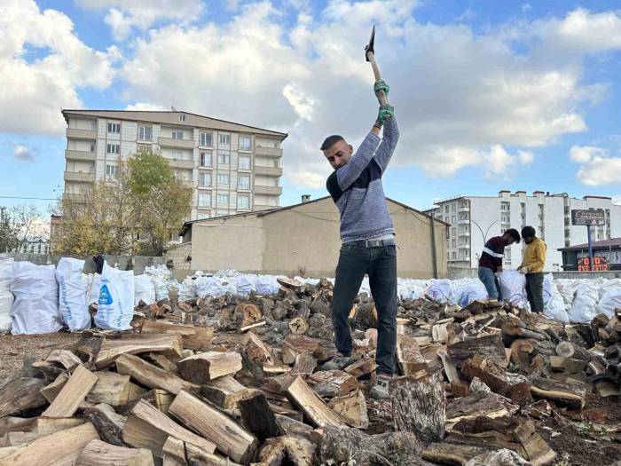 Yüksekova’da Oduncuların Kış Hazırlığı Sürüyor