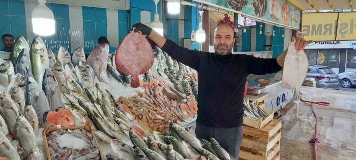 Ege’de Yaz Gitmeyince Balıklar Da Gelmedi