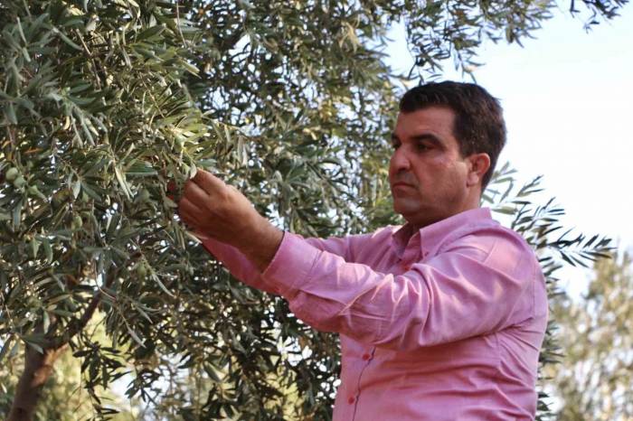 Silopili Çiftçi, Bölgede İlk Yer Altı Damlama Sistemini Kurdu