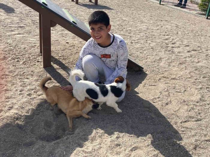 Zihinsel Engelli Çocuklara At İle Terapi