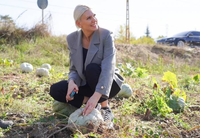 Bilecik’te Atıl Alanlarda Ekilen Bal Kabağının Hasadı Yapıldı