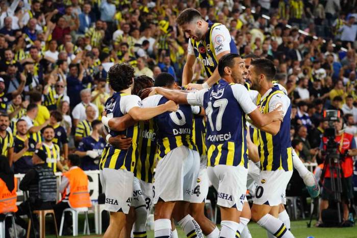 Fenerbahçe, Ludogorets Karşısında