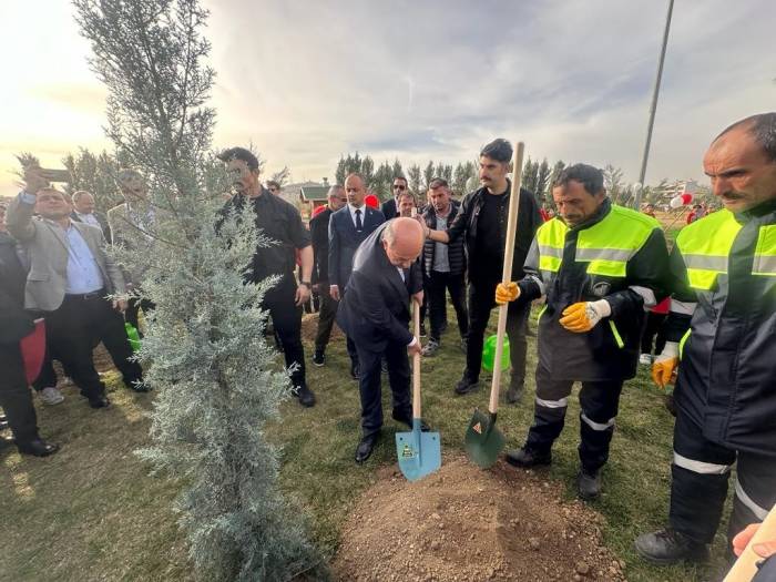6 Şubat Depremlerinde Hayatını Kaybeden Kktc Vatandaşları Anısına Fidanlar Dikildi