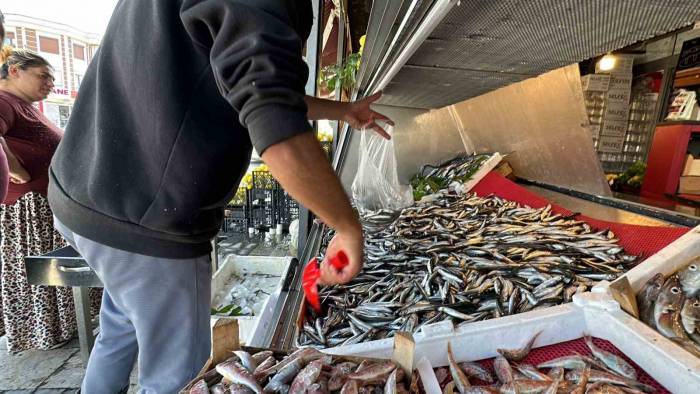 Tezgahlarda Hamsi Bolluğu