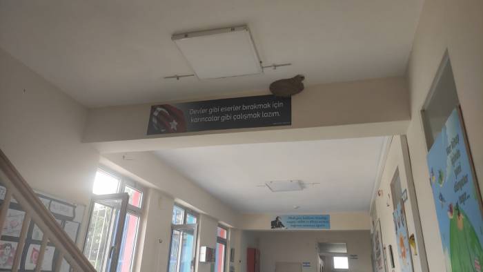 Okula Yuva Yapan Kırlangıçların Göç Etmesi Üzdü