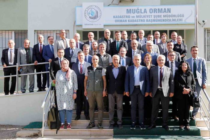 400 Milyon Dolar Bütçeli İklime Dirençli Ormancılık Projesi