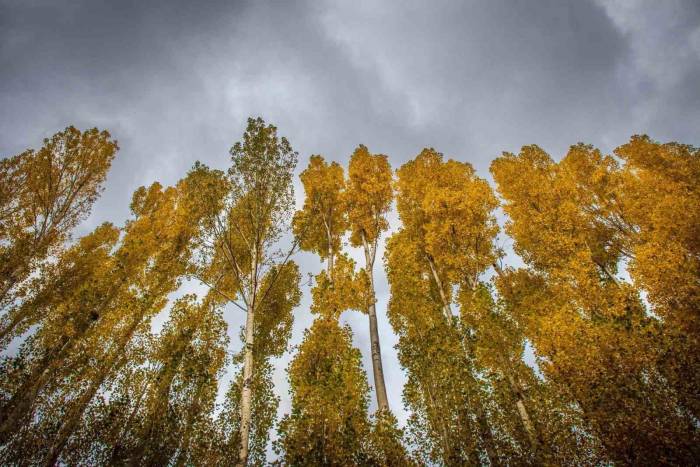 Erzincan’da Hazan Mevsimi Güzelliği