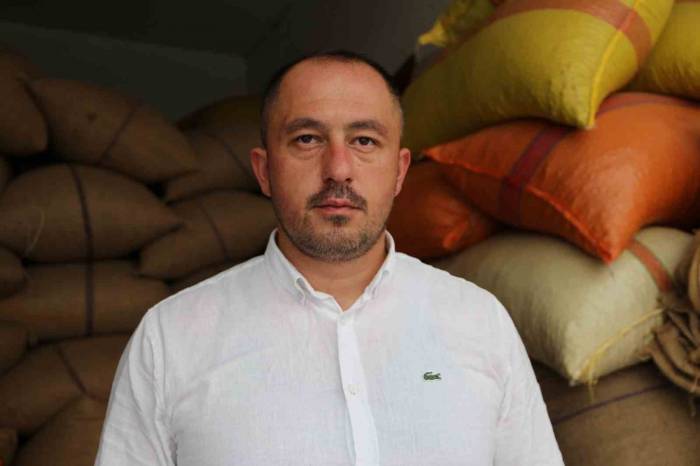 Giresun’da Fındık Fiyatları Stabil Hale Gelmeye Başladı