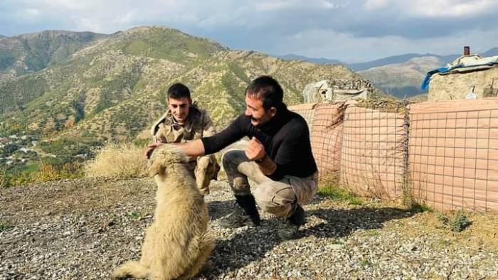 Kaymakamın Bulduğu Yavru Köpekler Güvenlik Güçlerine Arkadaş Oldu