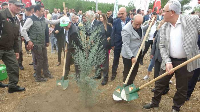 Muğla’da 100. Yılda 100 Fidan Dikildi