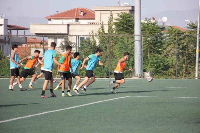 Genç Horozlar Seri Peşinde