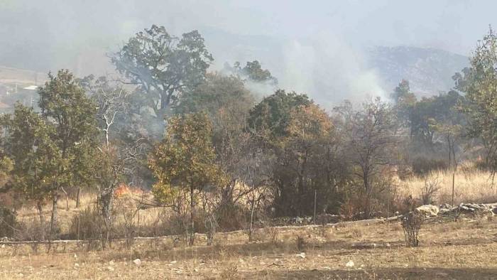 Isparta’da 10 Dekar Alan Küle Döndü
