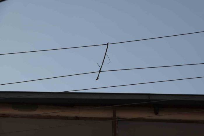 Elektrik Telleri Birbirine Değmesin Diye ‘Ağaç Dalı’ İle Bağlanmış