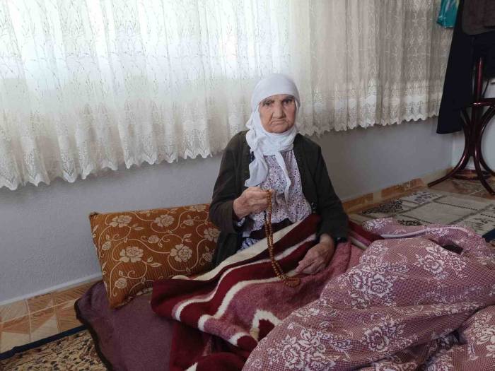 Cumhuriyetle Yaşıt Asırlık Çınarın Gözünden 100. Yıl