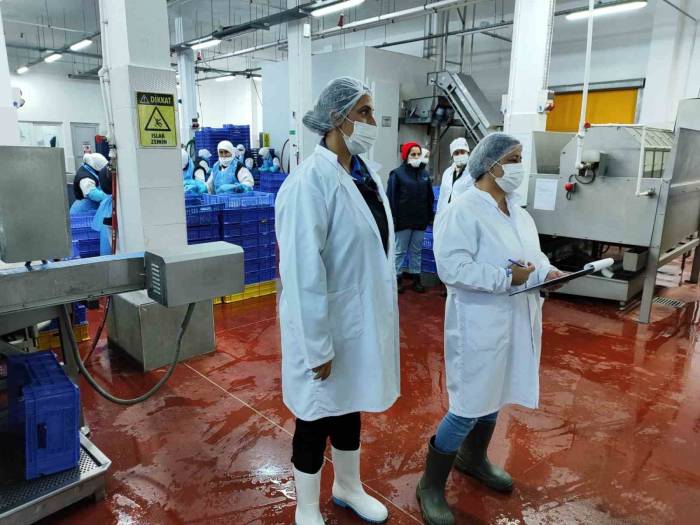 Su Ürünleri Denetimleri Sürüyor